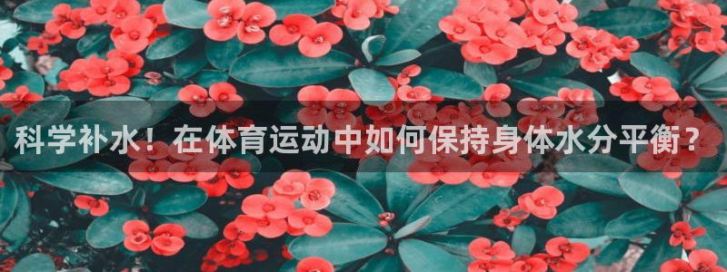 胜天国际体育官网注册