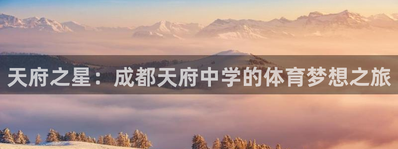 胜天国际体育平台总代理