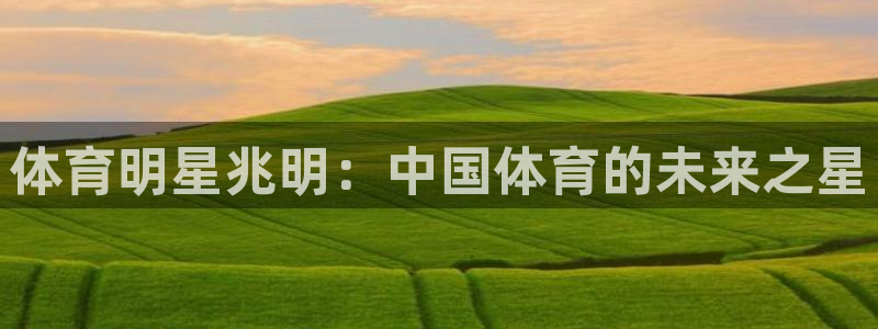 胜天国际3代理