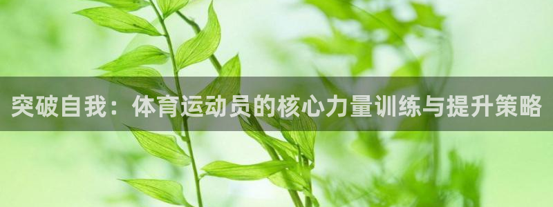 胜天国际体育4