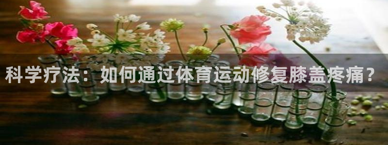 胜天国际体育热门赛事有哪些
