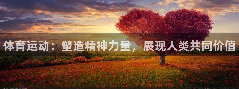 胜天国际凯捷平台注册链接